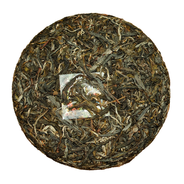 The Fool