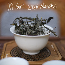 Touchstone | Elite Maocha Sampler
