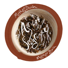 Mother Bush Apricot Fragrance Dancong