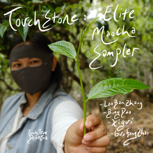 Touchstone | Elite Maocha Sampler
