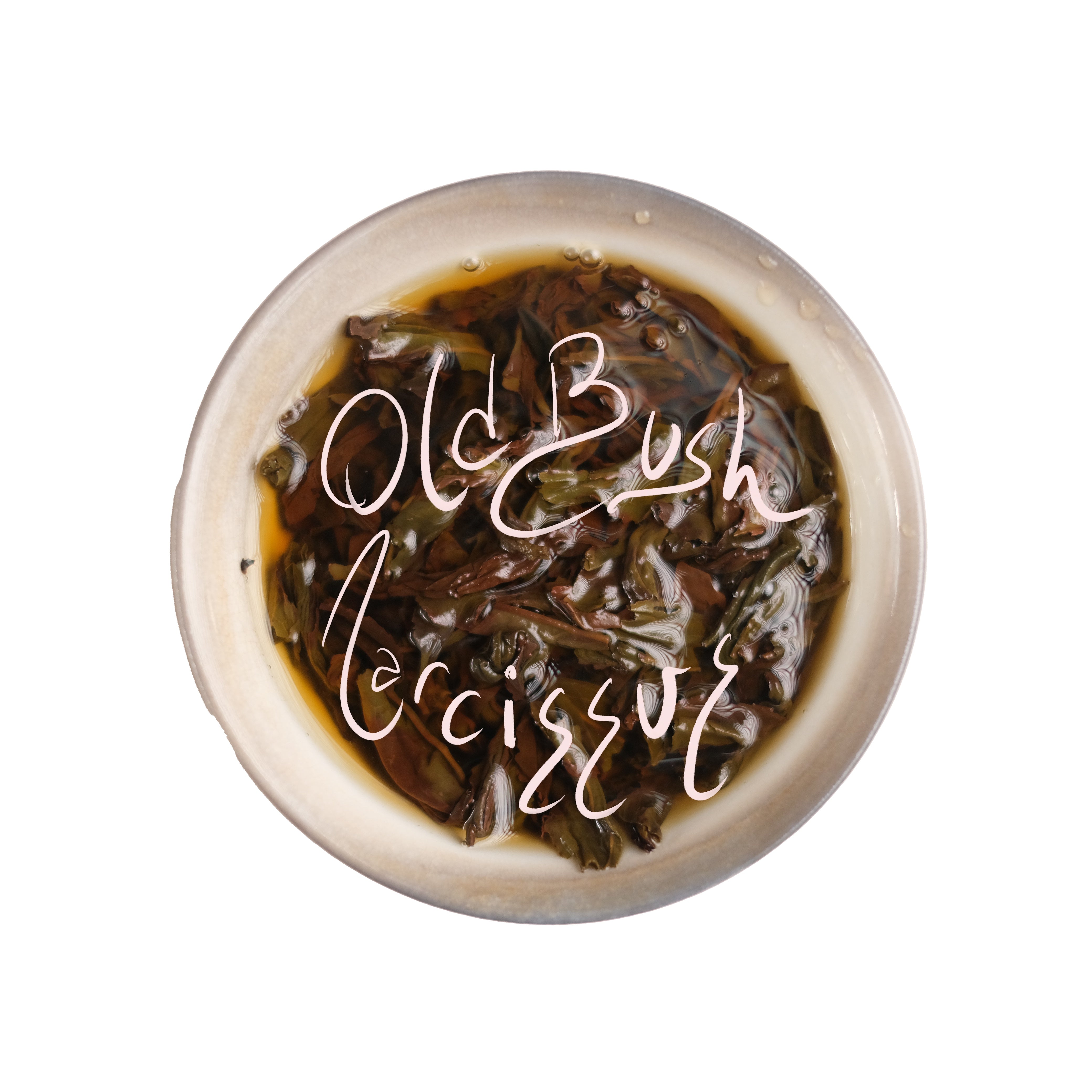 Old Bush Narcissus Laocong Shuixian Wuyi Rock Oolong – One River Tea