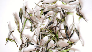 Silver Dime: A White Tea Collection