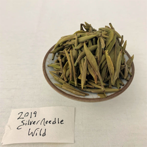 2019 Silver Needle (wild)