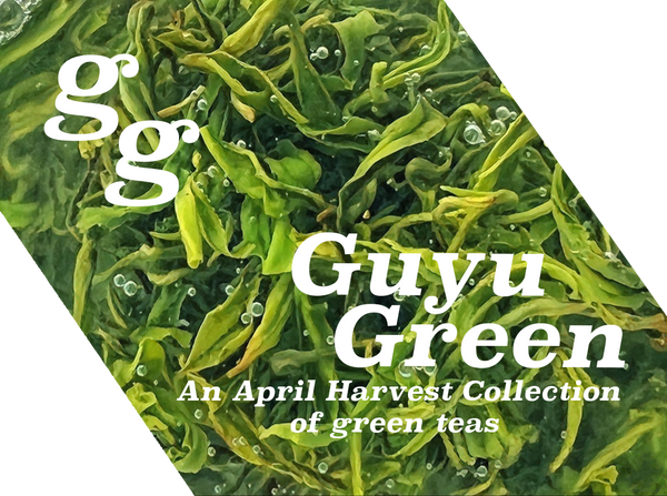 gg: A collection of Guyu Green Teas