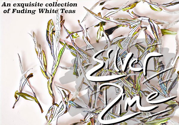 Silver Dime: A White Tea Collection
