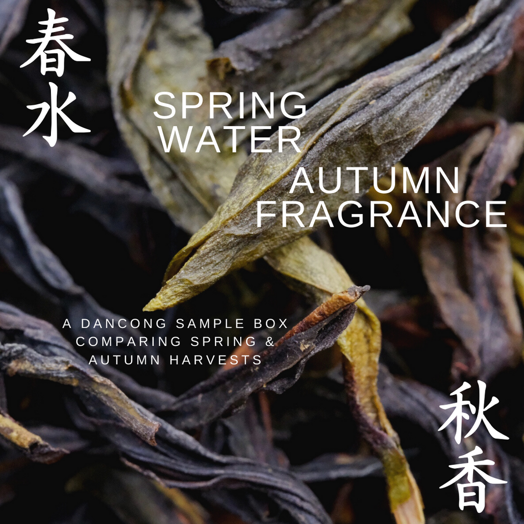 Spring & Autumn: Dancong Harvest Comparison Box